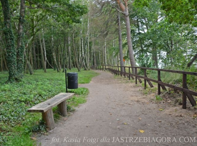 Szlak pieszy koroną klifu w Jastrzębiej G&oacute;rze