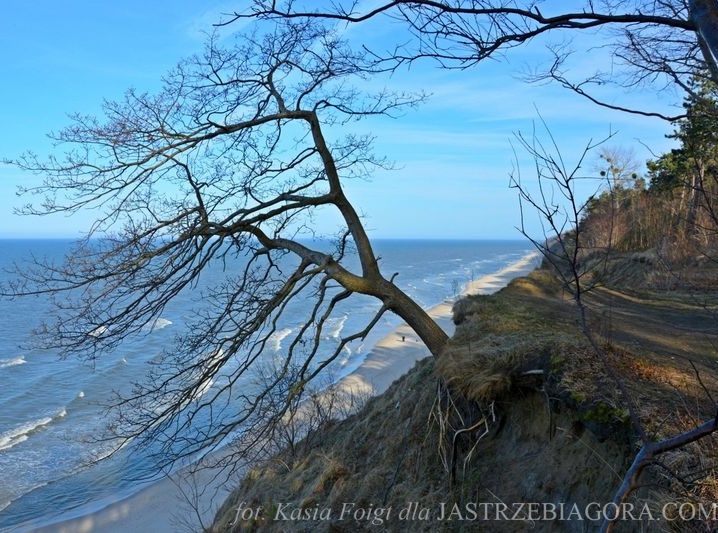 Klifowe wybrzeże w Jastrzębiej G&oacute;rze