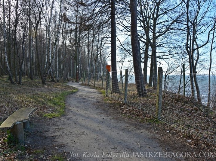 Klifowe wybrzeże w Jastrzębiej G&oacute;rze